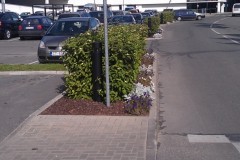 imag0564