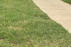 GFE-S.Africa-08-2020_04