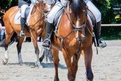 web-project-01-600x574