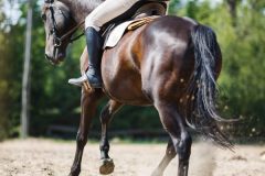 web-project-02-600x600