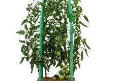 Tomato-3-Square-Planter-600x900